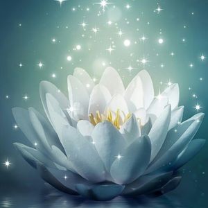 Meet your Posher, Breann